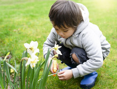 小孩子男孩使用喷雾瓶浇水水仙花花孩子有有趣的与园艺活跃的孩子活动花园男孩喷涂叶子孩子们园艺概念