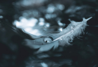 水滴自然鸭羽毛浮动蒸汽与模糊的反射光背景浅深度场雨滴纹理毛茸茸的翅膀鸟单调颜色