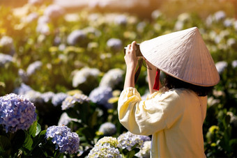 亚洲旅行者女人取图片绣球花花园