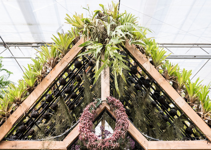 木山墙框架的小展馆哪一个装饰与的植物的植物花园