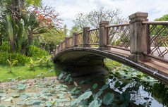 拱混凝土桥与的金属铁路在的莲花池塘的城市公园