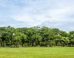 新鲜的公园的夏天时间