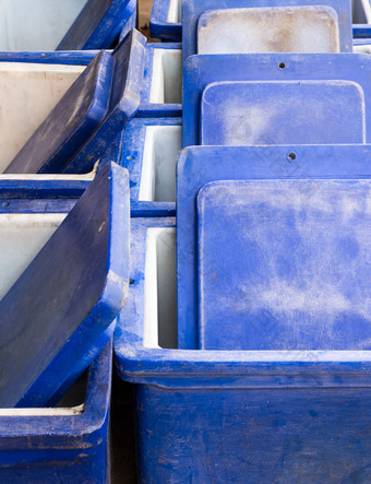 蓝色的塑料盒子为包含的海鲜的当地的市场