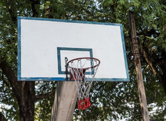 老篮球希望的混凝土波兰附近的大树的公共公园