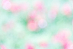 摘要背景的粉红色的花的观赏花床上的植物花园模糊焦点
