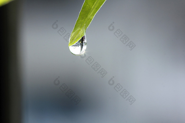 水滴叶提示