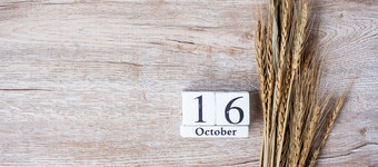 10月日历木和小麦<strong>表</strong>格背景与复制空间食物捐赠分享<strong>志愿</strong>者和世界食物一天概念