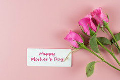 粉红色的玫瑰花粉红色的背景与复制空间为文本爱和妈妈。一天概念