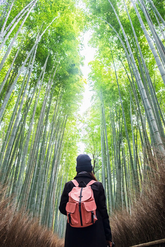 年轻的女人旅行岚山竹子格罗夫快乐亚洲旅行者看嵯竹子森林具有里程碑意义的和受欢迎的为游客景点《京都议定书》日本亚洲旅行概念