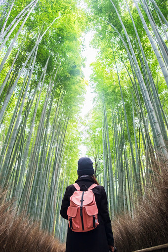 年轻的女人<strong>旅行</strong>岚山竹子格罗夫快乐亚洲<strong>旅行</strong>者看嵯竹子森林具有里程碑意义的和受欢迎的为游客景点《京都议定书》<strong>日本</strong>亚洲<strong>旅行</strong>概念