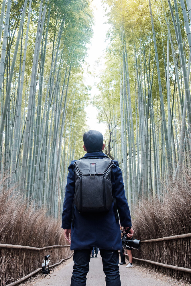 年轻的男人。旅行岚山竹子格罗夫快乐亚洲旅行者看嵯竹子森林具有里程碑意义的和受欢迎的为游客景点《京都议定书》日本亚洲旅行概念