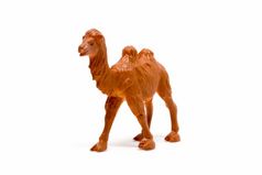 骆驼模型孤立的白色背景动物玩具塑料