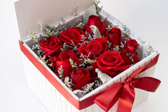 浪漫的红色的玫瑰广场白色礼物盒子白色背景