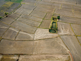 空中图片<strong>大</strong>农业情节准备成长<strong>大</strong>米无人机<strong>摄影</strong>