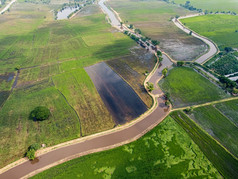 绿色大米字段亚洲空中照片drones