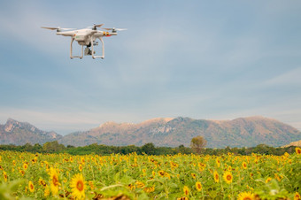 聪明的农民概念无人机飞行以上农田