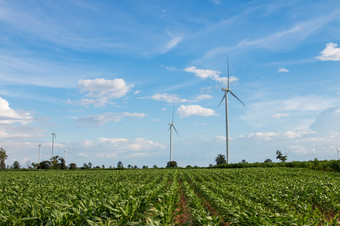 风涡轮农场权力发电机美丽的自然景观为生产可再生绿色能源友好的行业环境