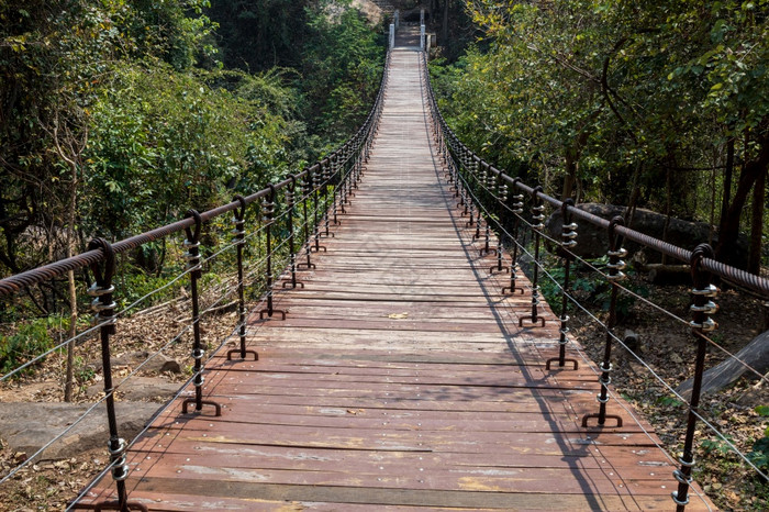 桥在流自然森林图片