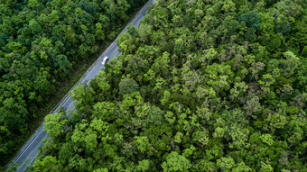 空中视图沥青路和绿色森林森林路会通过森林与车冒险视图从以上生态系统和生态健康的环境概念和背景