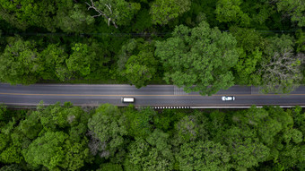 空中视图路会通过森林路通过的绿色森林空中前视图车森林纹理森林视图从以上生态系统和健康的环境概念和背景