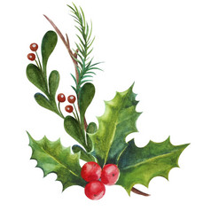 水彩插图圣诞节装饰冬青叶子和浆果圣诞节装饰