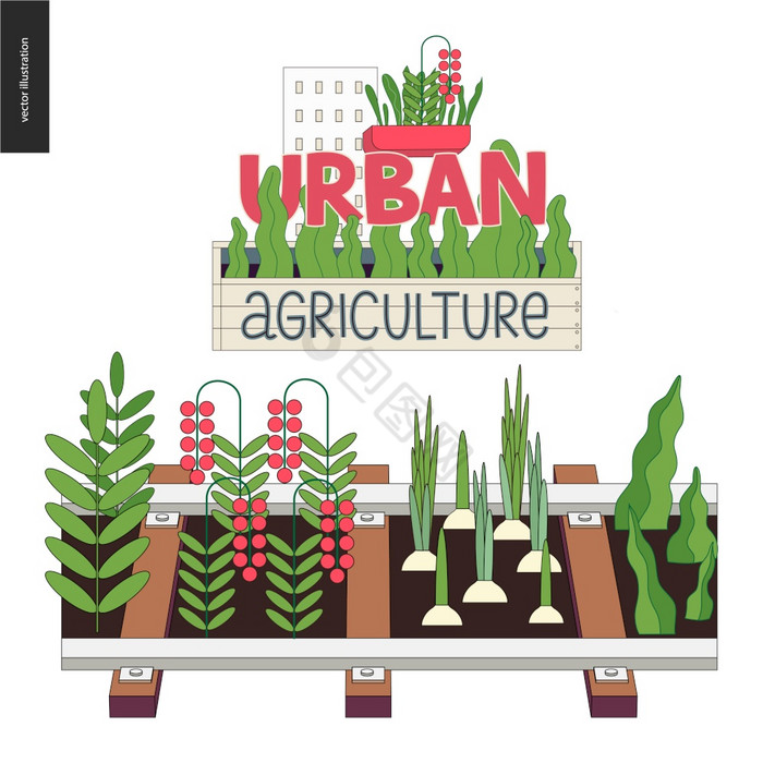 城市农业园艺农业苗床使栏杆和标志城市农业图片