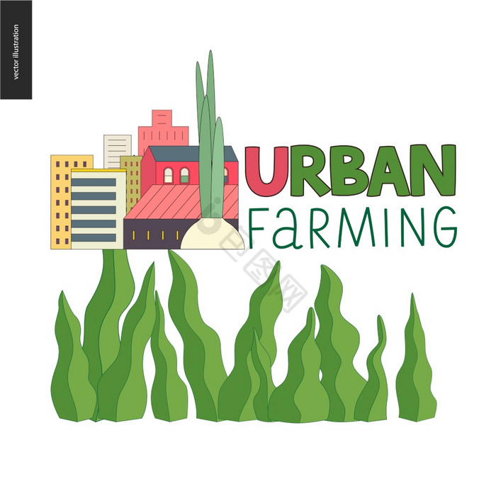 城市农业园艺农业标志洋葱和城市建筑后面城