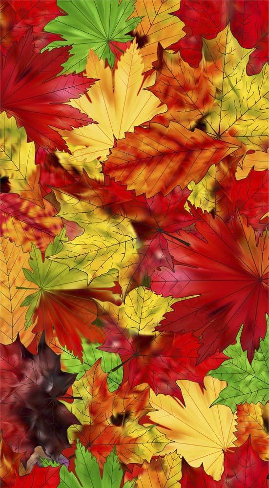 明亮的秋天叶子背景棕色（的）红色的和黄色的树叶向量插图棕色（的）红色的和黄色的树叶