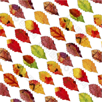 明亮的秋天叶子无缝的模式棕色（的）红色的和黄色的树叶背景向量插图棕色（的）红色的和黄色的树叶