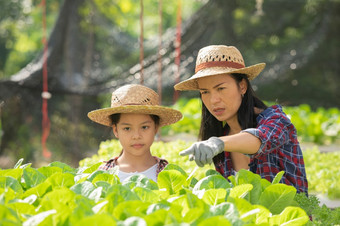 亚洲妈妈。和女儿是帮助在一起收集的新鲜的水培蔬菜的农场概念<strong>园艺</strong>和孩子教育<strong>家庭</strong>农业<strong>家庭</strong>生活风格