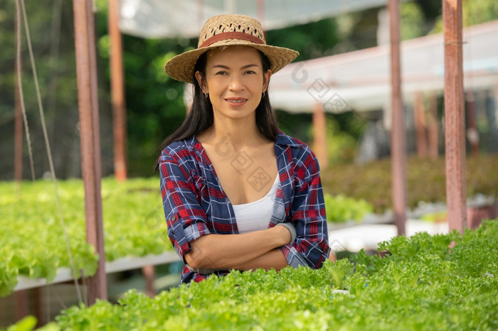 亚洲女人农民工作蔬菜水培农场与幸福肖像女人农民检查质量绿色沙拉蔬菜与微笑的绿色房子农场