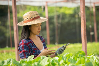 亚洲女人农<strong>民工</strong>作使用移动蔬菜水培农场与幸福肖像女人农民检查质量绿色沙拉蔬菜与微笑的绿色房子农场