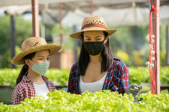 亚洲妈妈。和女儿穿面具是帮助在一起收集的新鲜的水培蔬菜的农场概念<strong>园艺</strong>和孩子教育<strong>家庭</strong>农业<strong>家庭</strong>生活风格