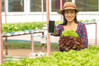 亚洲女人农民工作使用移动蔬菜水培农场与幸福肖像女人农民检查质量绿色沙拉蔬菜与微笑的绿色房子农场