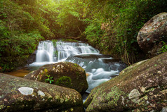 你他南瀑布热带热带雨林景观普欣隆克拉国家公园那空泰国区phitsanulok泰国
