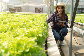 亚洲女人农民检查沙拉蔬菜增长和使用平板电脑为控制水光温度水培植物系统农场的温室概念数字技术为农业