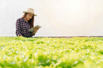 亚洲女人农民检查沙拉蔬菜增长和使用平板电脑为控制水光温度水培植物系统农场的温室概念<strong>数字</strong>技术为<strong>农业</strong>