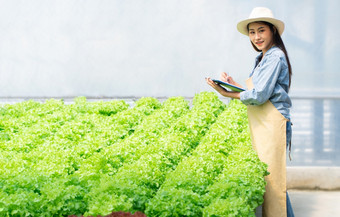 亚洲农民女人持有剪贴板和生蔬菜沙拉为检查质量水培农场系统的温室概念<strong>水光</strong>温度控制环境有机食物