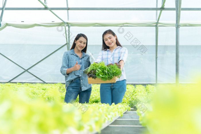 快乐亚洲女人农民持有蔬菜篮子和平板电脑和微笑后收获蔬菜从的水培农场概念高数量控制和质量为水培农场