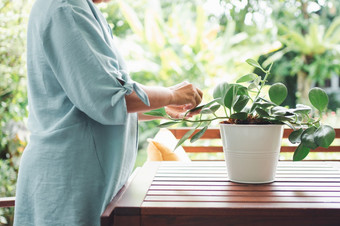 快乐和微笑亚洲老上了年纪的女人种植为爱好后退休首页概念快乐生活方式和好<strong>健康</strong>为<strong>老年人</strong>