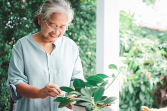 快乐和微笑亚洲老上了年纪的女人种植为爱好后退休首页概念快乐生活方式和好<strong>健康</strong>为<strong>老年人</strong>