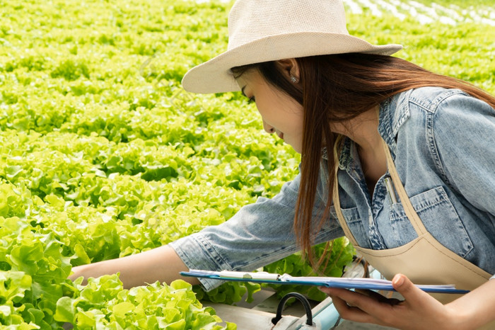 亚洲农民女人持有剪贴板和生蔬菜沙拉为检查质量水培农场系统的温室概念水光温度控制环境有机食物