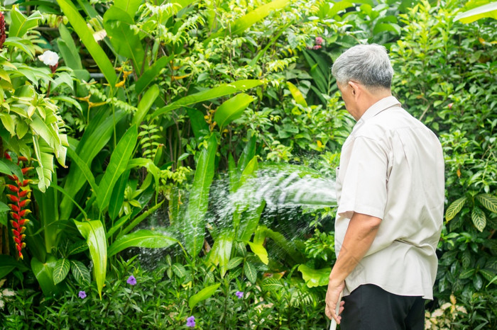 快乐和微笑亚洲老上了年纪的男人。浇水植物和花为爱好后退休首页概念快乐生活方式和好健康为老年人