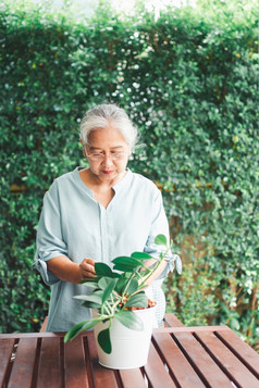 快乐和微笑亚洲老上了年纪的女人种植为爱好后退休首页概念快乐生活方式和好健康为老年人