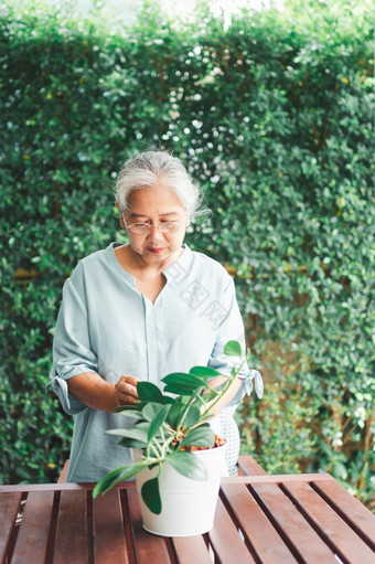 快乐和微笑亚洲老上了年纪的女人种植为爱好后退休首页概念快乐生活方式和好健康为老年人