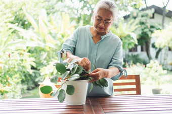 快乐和微笑亚洲老上了年纪的女人种植为爱好后退休首页概念快乐生活方式和好健康为老年人