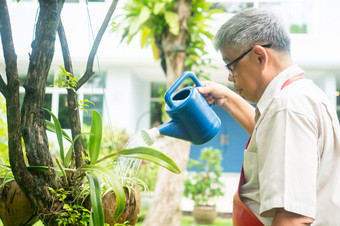 快乐和微笑亚洲老上了年纪的男人。浇水植物和花为爱好后退休首页概念快乐生活方式和好<strong>健康</strong>为<strong>老年人</strong>