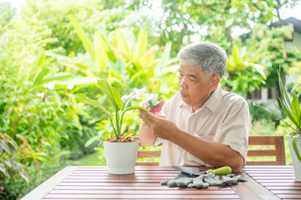 快乐和微笑亚洲老上了年纪的男人。种植为爱好后退休首页概念快乐生活方式和好健康为老年人