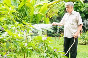 快乐和微笑亚洲老上了年纪的男人。浇水植物和花为爱好后退休首页概念快乐生活方式和好健康为老年人