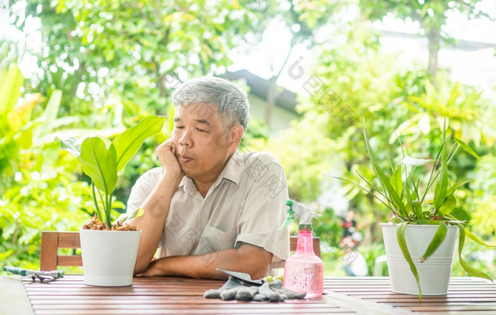 快乐和微笑亚洲老上了年纪的男人。种植为爱好后退休首页概念快乐生活方式和好健康为老年人